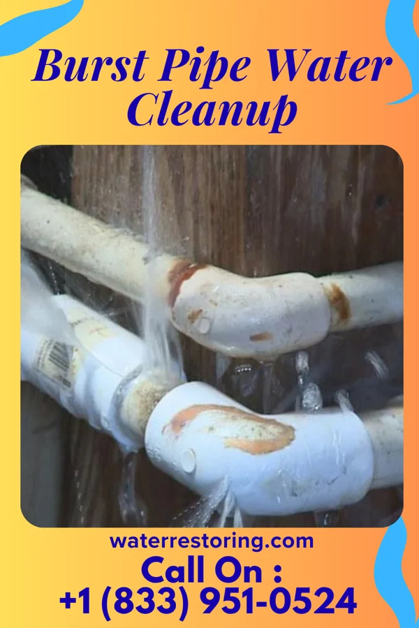 Burst Pipe Water Cleanup in Poole, NE