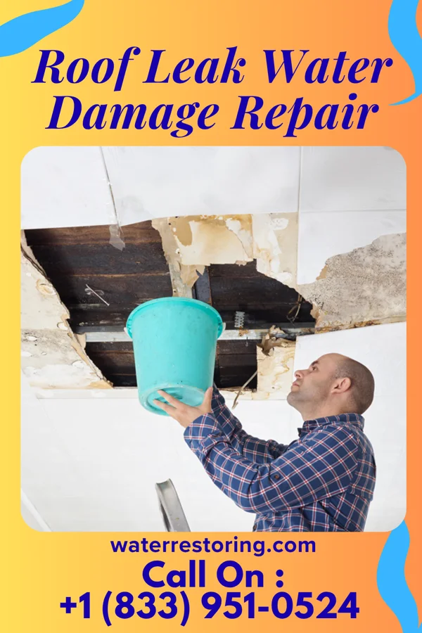 Roof Leak Water Damage Repair in Poole, NE
